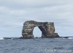 Darwin's Arch