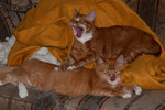 RJ and Mama wake up, early spring 2011