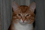 RJ says, "You woke me up for this?"