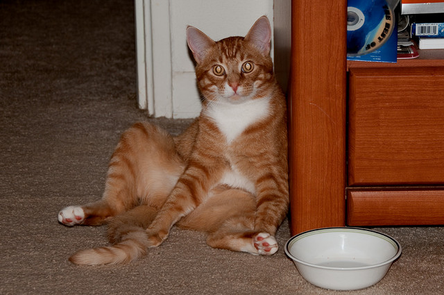 RJ just sittin' around, spring 2011