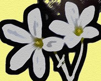 Highlight for Album: Artistic Endeavors