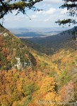 Cloudland Canyon
Georgia