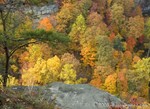 Cloudland Canyon
Georgia