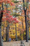 Cloudland Canyon
Georgia