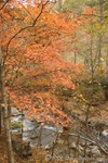 Sweetwater Creek
Georgia