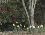 Spring Colors