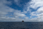 Darwin's Arch