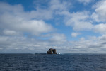 Darwin's Arch