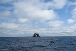 Dive panga headed out to Darwin's Arch