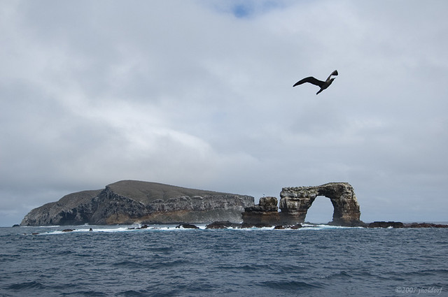 Darwin Island and Arch