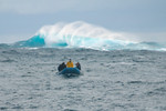 Dive panga