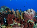 No Caption